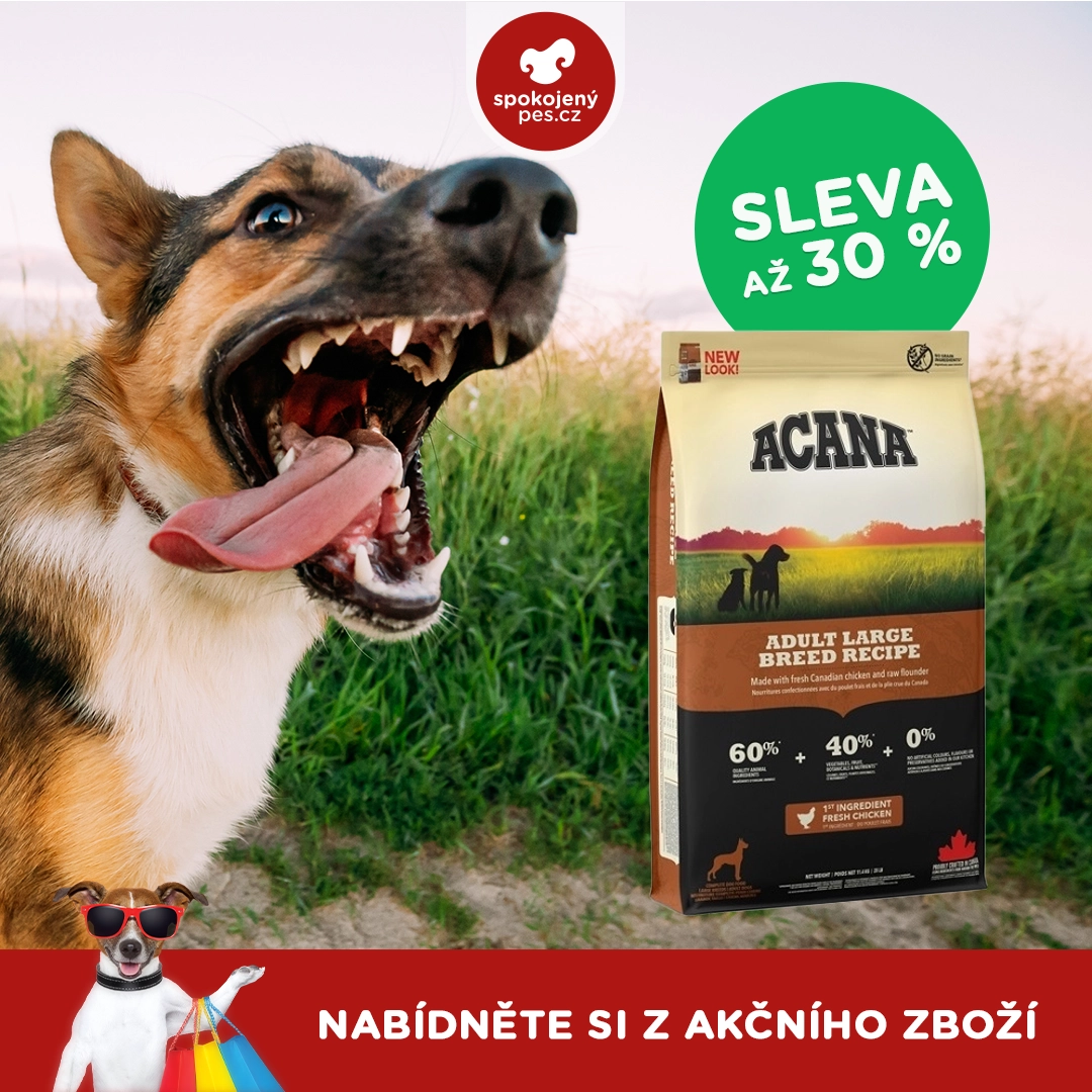 ACANA OPRAVA.webp